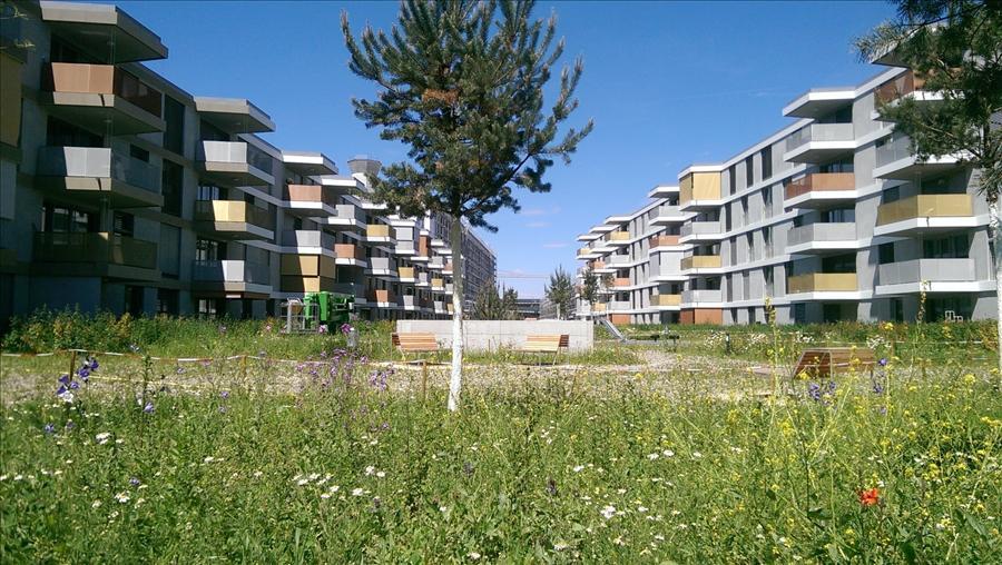 Bild Wohnung im Erlenmattquartier